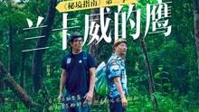 燃烧吧大脑免广告最新版
